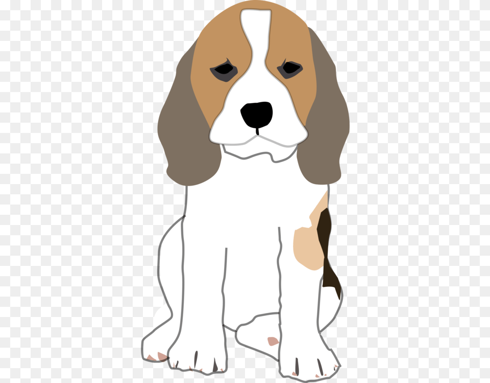 The Beagle Golden Retriever Puppy Jack Russell Terrier, Animal, Pet, Mammal, Hound Free Transparent Png