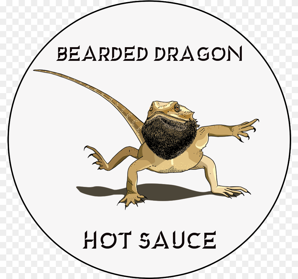 The Bearded Dragon Hot Sauce Cartoon, Animal, Iguana, Lizard, Reptile Png