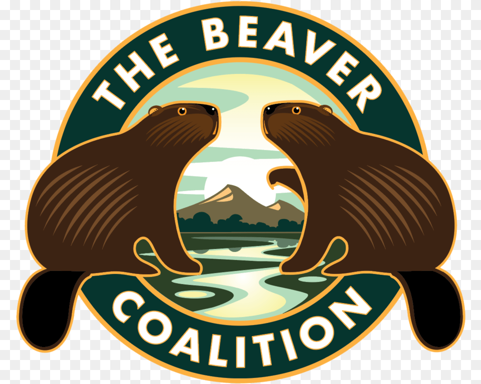 The Beaver Coalition Transparent, Animal, Mammal, Rodent, Wildlife Png