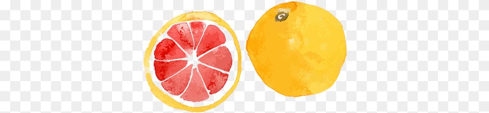 The Benefits Of Grapefruit Transparent Lemon Water Color, Produce, Citrus Fruit, Food, Fruit Png Image
