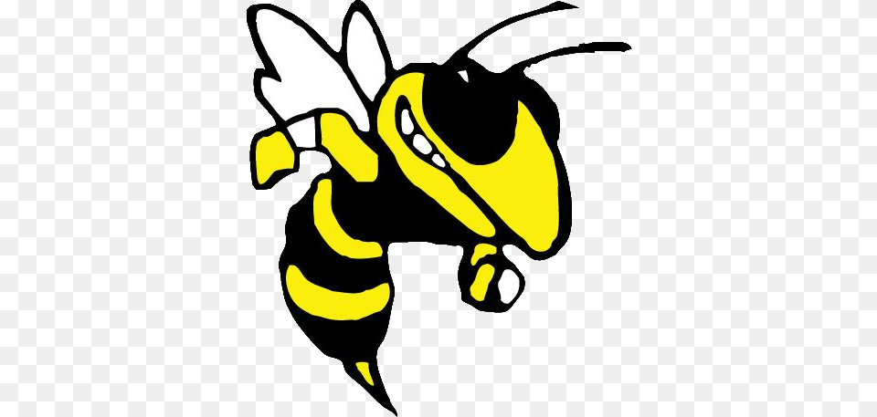 The Bessemer City Yellow Jackets, Animal, Bee, Insect, Invertebrate Free Transparent Png