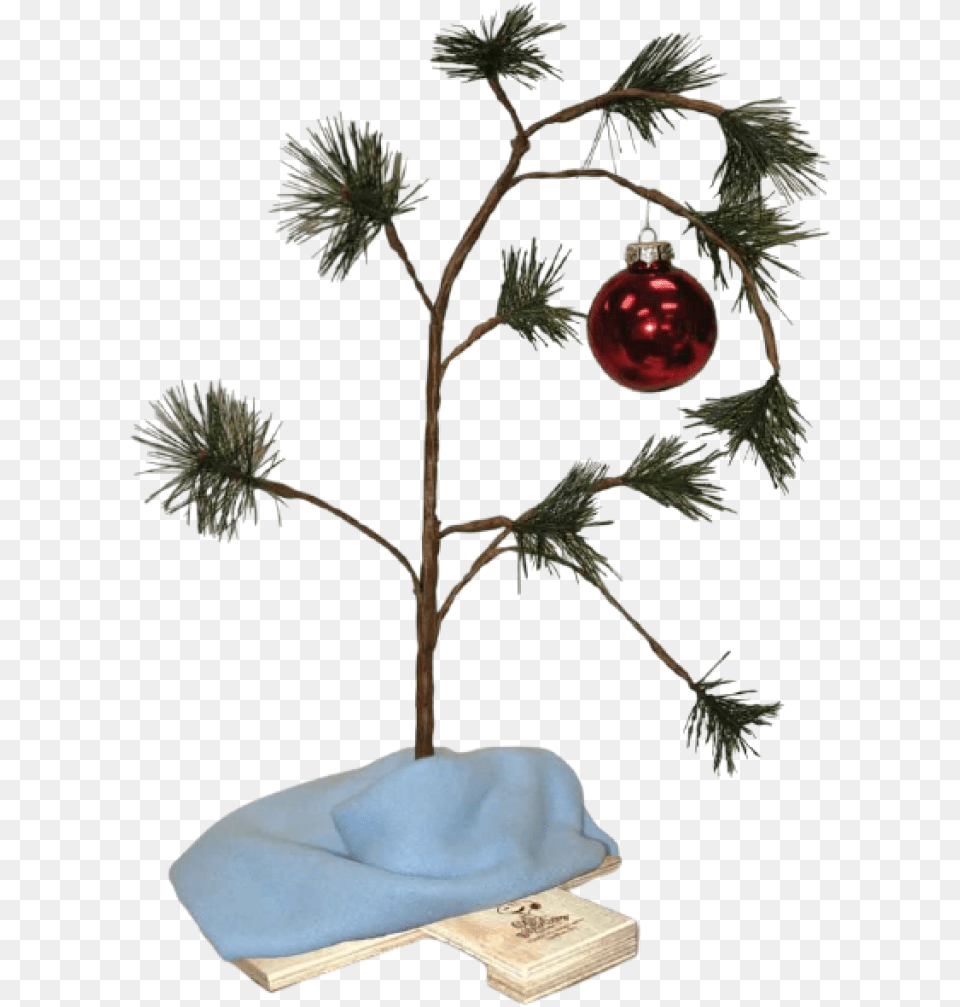 The Best Christmas Decorations Products To Buy In 2020 U2013 Rivajs Charlie Brown Christmas Tree, Plant, Christmas Decorations, Festival, Christmas Tree Free Png