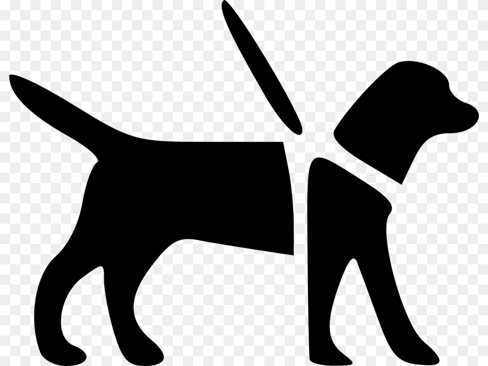 The Best Dog Collar Reviews, Silhouette, Blade, Knife, Weapon Png Image