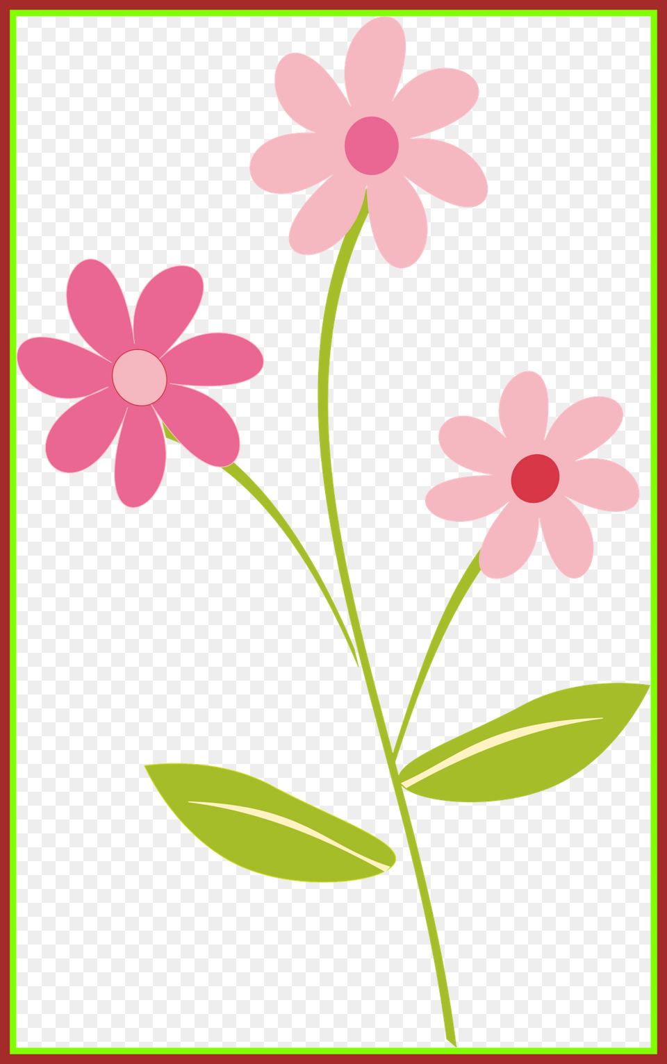 The Best Flowers Border Clipart Clipartsgram Pict, Daisy, Flower, Plant, Petal Free Png