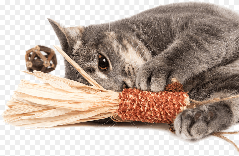 The Best For Your Cat All Natural Toy Made With Silver Cat Toys, Animal, Mammal, Manx, Pet Free Png