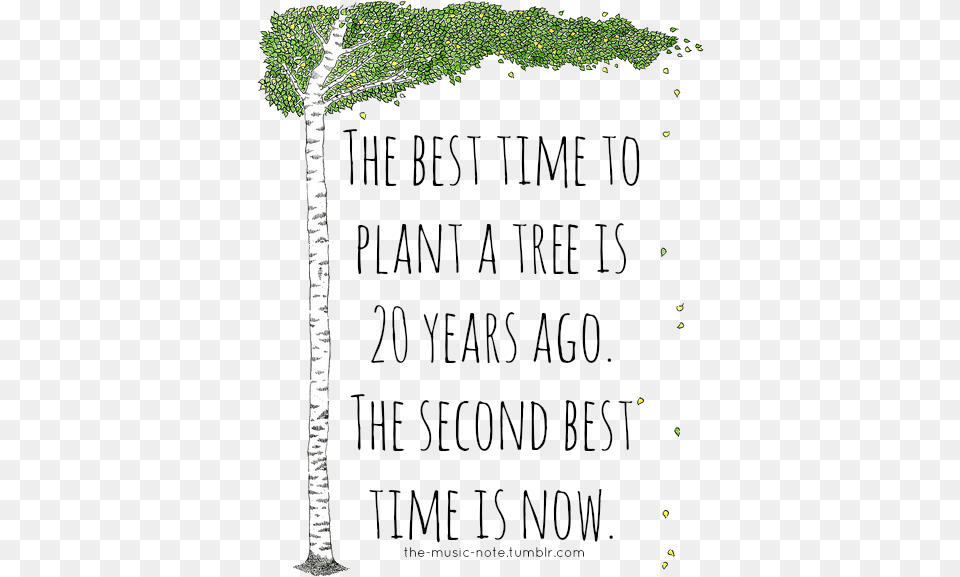 The Best Time To Plant A Tree Is Twenty Years Ago Right Time To Plant A Tree, Text, Vegetation Png Image