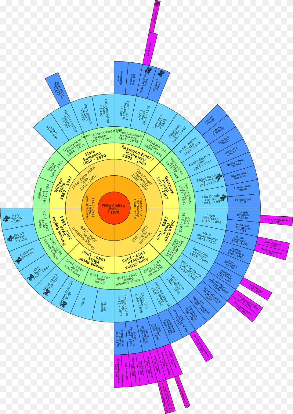 The Big Tree Fan Chart With Dna Matches Marked, Disk Png Image