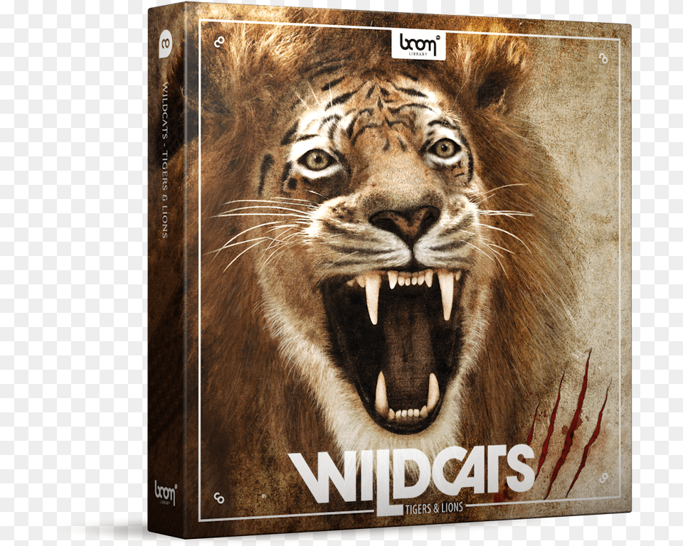 The Biggest Lion And Tiger Sound Library To Date Sound Ideas Wildcats Lions Amp Tigers Sound Effects, Animal, Mammal, Wildlife Png