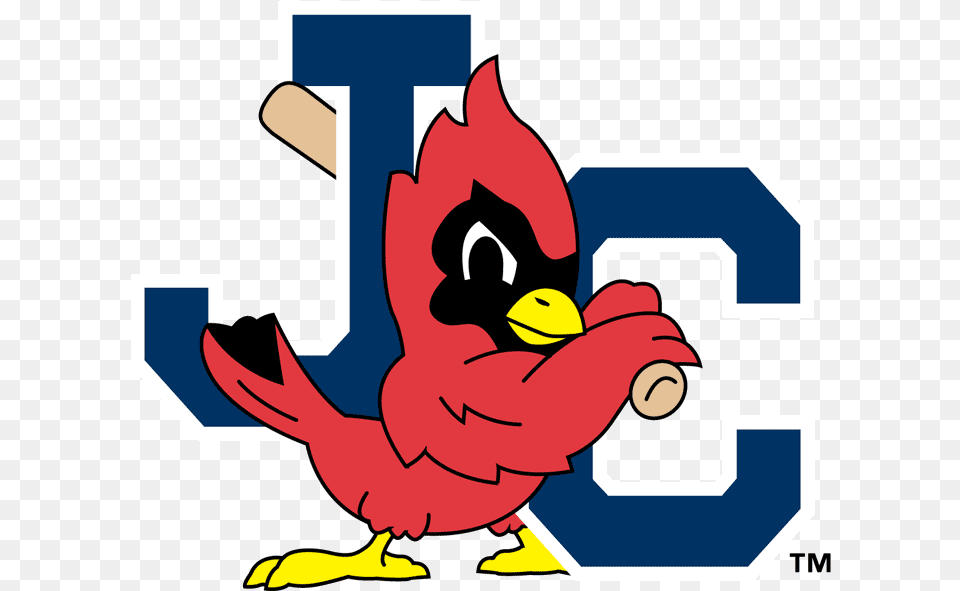 The Birdist Grading Bird Themed Minor League Baseball Teams Johnson City Cardinals Logo, Baby, Person Free Png