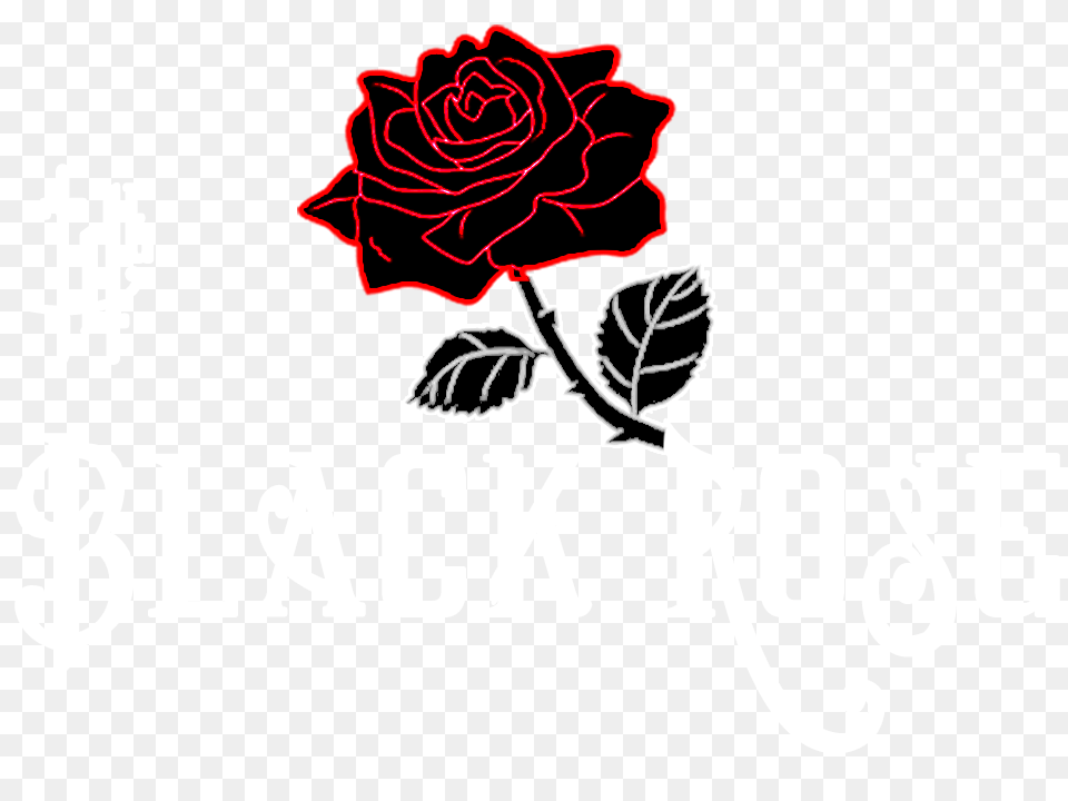 The Black Rose Desktop Wallpaper, Flower, Plant Png