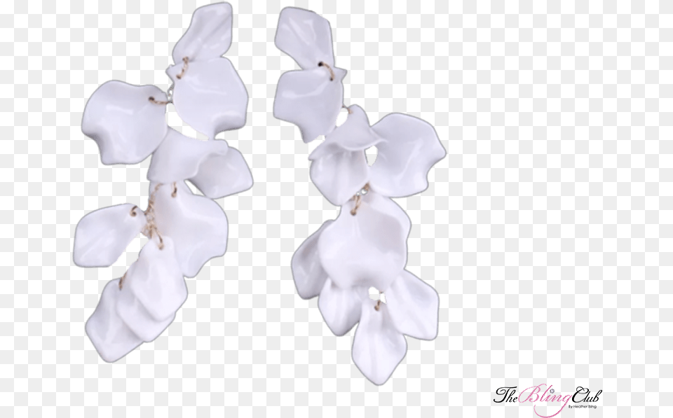 The Bling Club White Rose Petal Dangle Earrings Orchid, Flower, Plant, Baby, Person Free Png Download