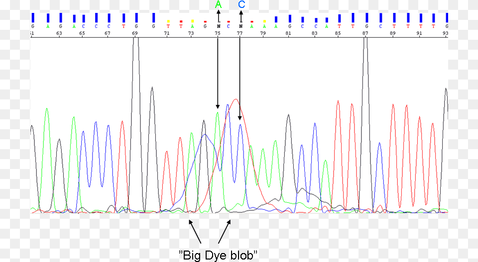 The Blob Can Be At Background Level Or Override The Plot, Chart Png Image