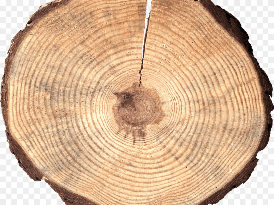 The Blog Log Wooden Circle, Lumber, Plant, Tree, Wood Png
