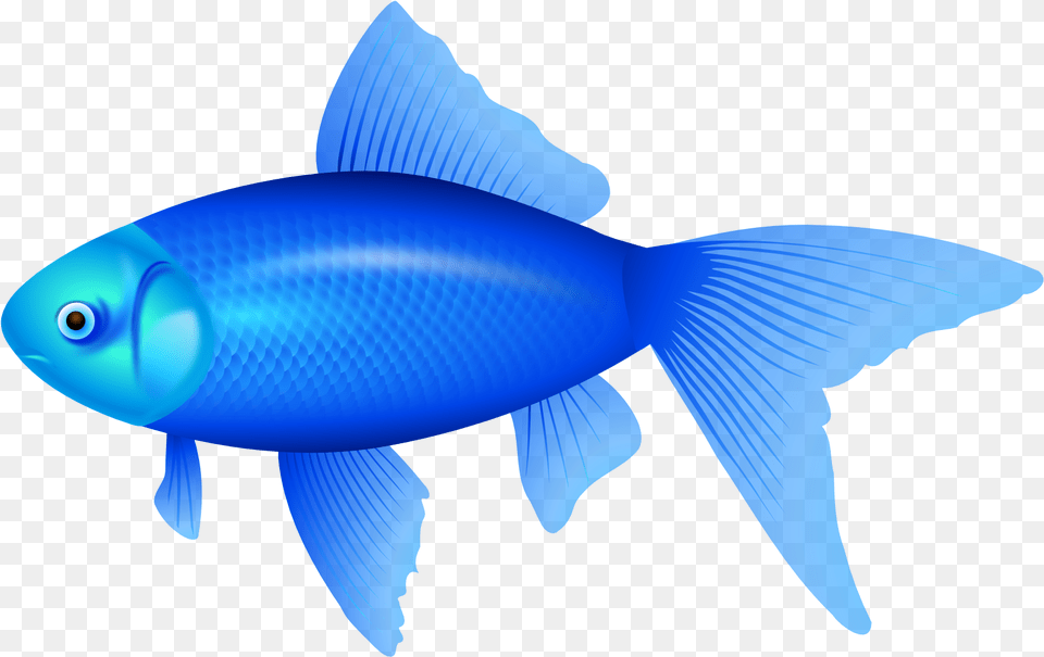 The Blue Fish Clip Art Blue Fish Clipart, Animal, Sea Life, Shark Free Png