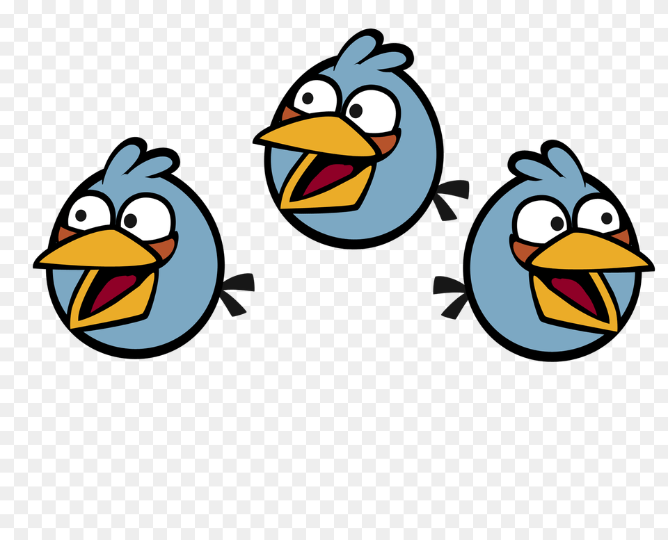 The Blues Jay Jake And Jim Otherwise Known As The Blue Birds, Animal, Beak, Bird Free Png Download