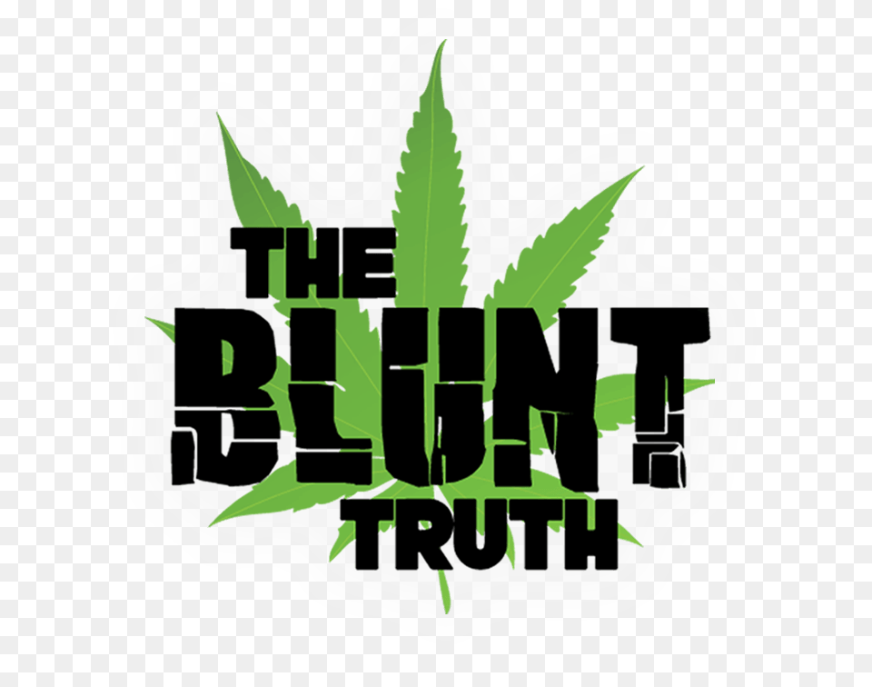 The Blunt Truth Sc Task Force Marijuana Is Illegal Addictive, Herbal, Herbs, Leaf, Plant Free Png Download