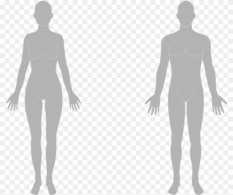 The Body Flashcards Human Body Silhouette, Adult, Person, Man, Male Png Image