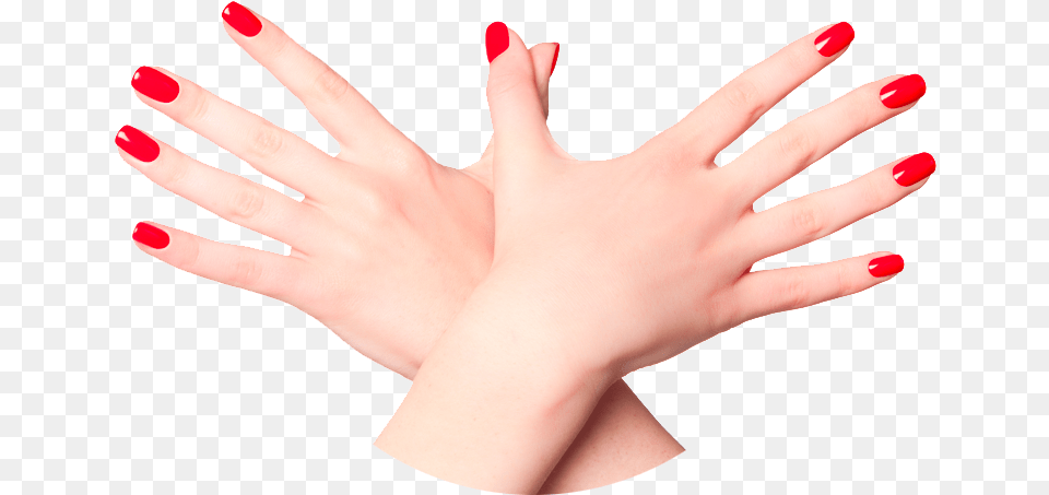 The Body Nails Clipart Transparent Background, Body Part, Finger, Hand, Nail Png Image