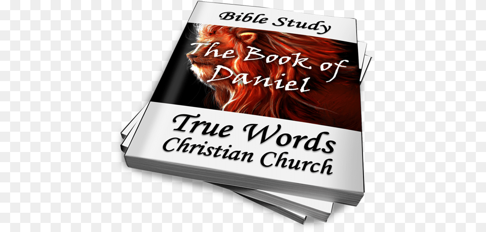 The Book Of Daniel Bible Study Horizontal, Publication, Novel, Advertisement, Poster Png