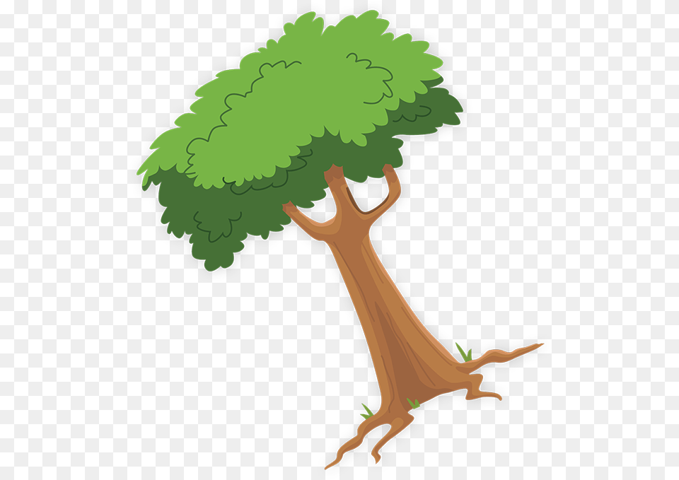 The Boxes Below And I Will Add It To My Treehouse Wall Illustration, Tree, Plant, Tree Trunk, Vegetation Free Png Download