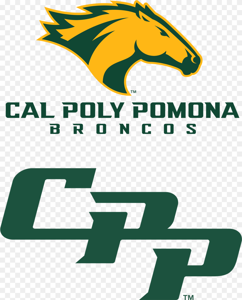 The Brand For Athletics Cal Poly Pomona Bronco Logo, Symbol, First Aid Png