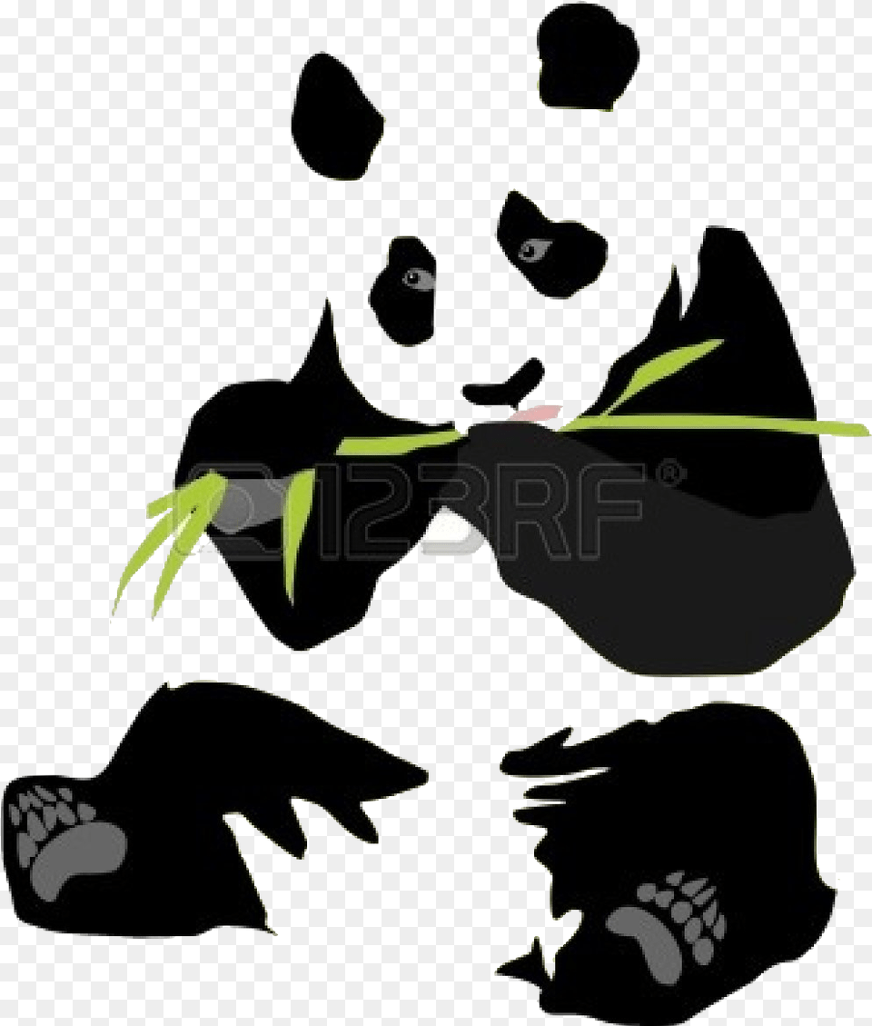 The Breeding Of Giant Pandas Occurs Between The Ages Panda Eating Bamboo 2 Shower Curtain, Electronics, Hardware, Baby, Person Png Image