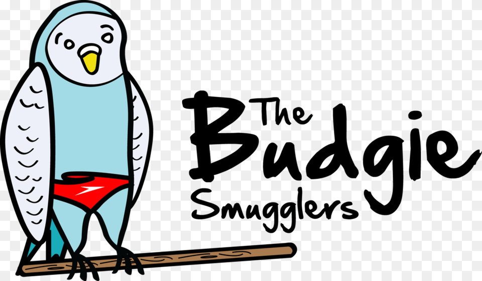 The Budgie Smugglers Every Thing Will Be Fine Quotes, Face, Person, Head, Female Free Png Download