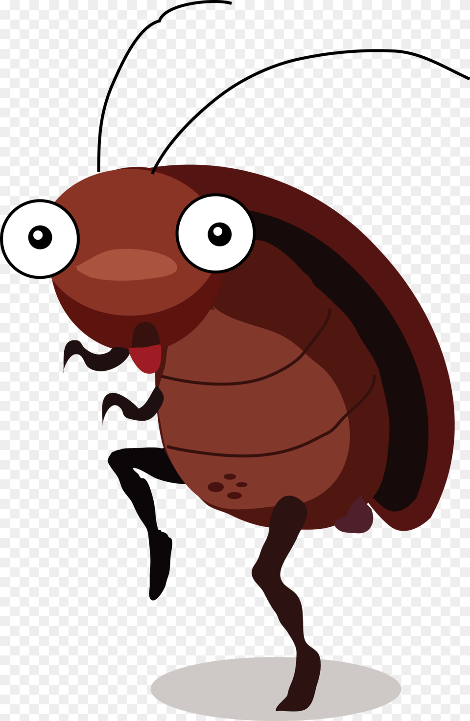 The Butterfly House Bug Zoo, Animal, Dynamite, Weapon, Cockroach Free Transparent Png