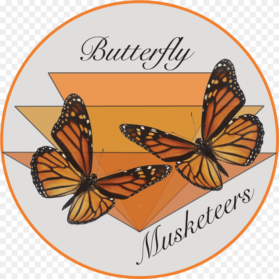 The Butterfly Musketeers Monarch Butterfly, Animal, Insect, Invertebrate, Disk Free Png