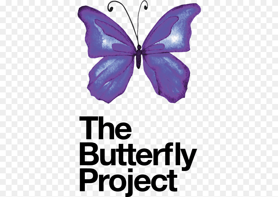 The Butterfly Project Purple Butterfly Baby Death, Flower, Petal, Plant, Chandelier Free Png