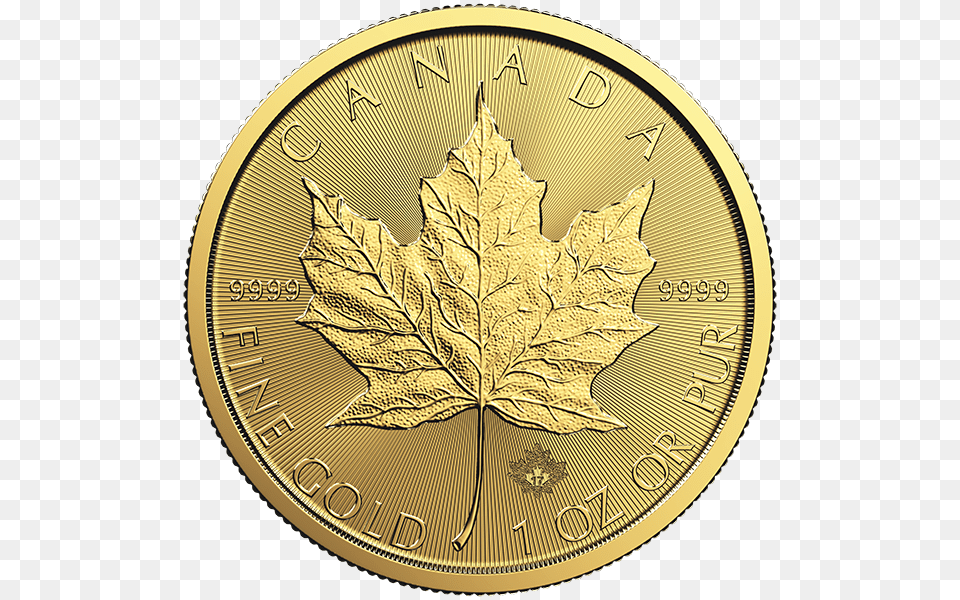 The Canadian Maple Leaf Gold Coin Is Great For Investors 2019 1 Oz Gold Maple Leaf, Plant, Money Free Png
