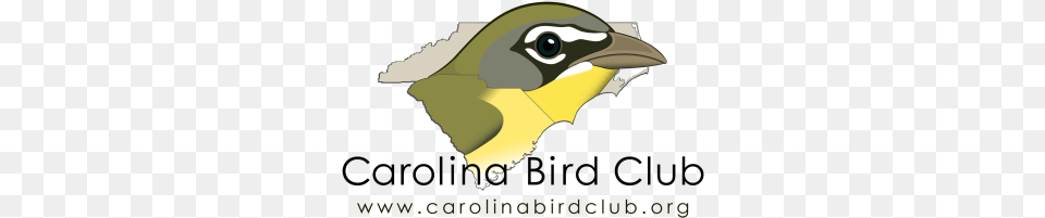 The Carolina Bird Club Carolina Bird Club, Animal, Beak, Finch, Jay Png