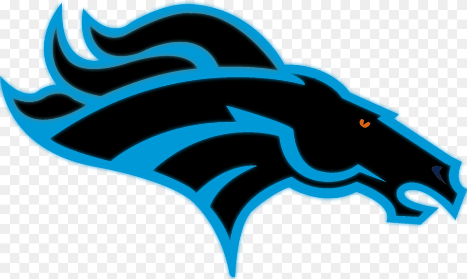 The Carolina Panthers, Person Free Transparent Png