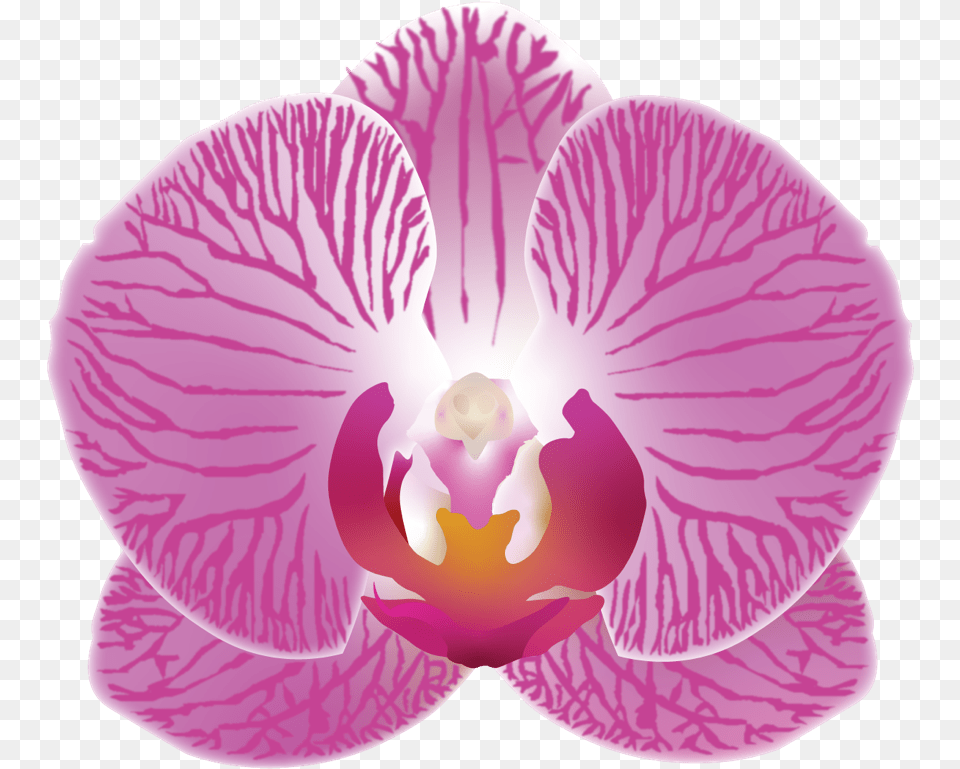 The Case For More Plantmoji U2013 Discover Share Moth Orchid, Flower, Plant, Rose Free Png Download