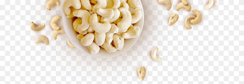 The Cashew Nut Cookies Are Our All Time Best Seller W210 Cashew Nut, Food, Plant, Produce, Vegetable Free Transparent Png