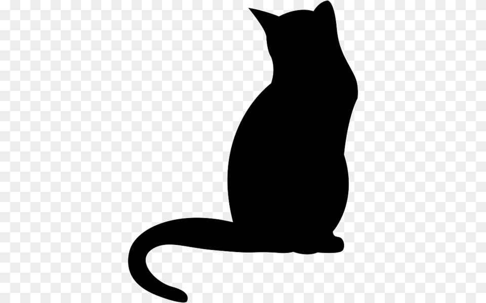 The Cat Images, Silhouette, Animal, Mammal, Pet Free Png