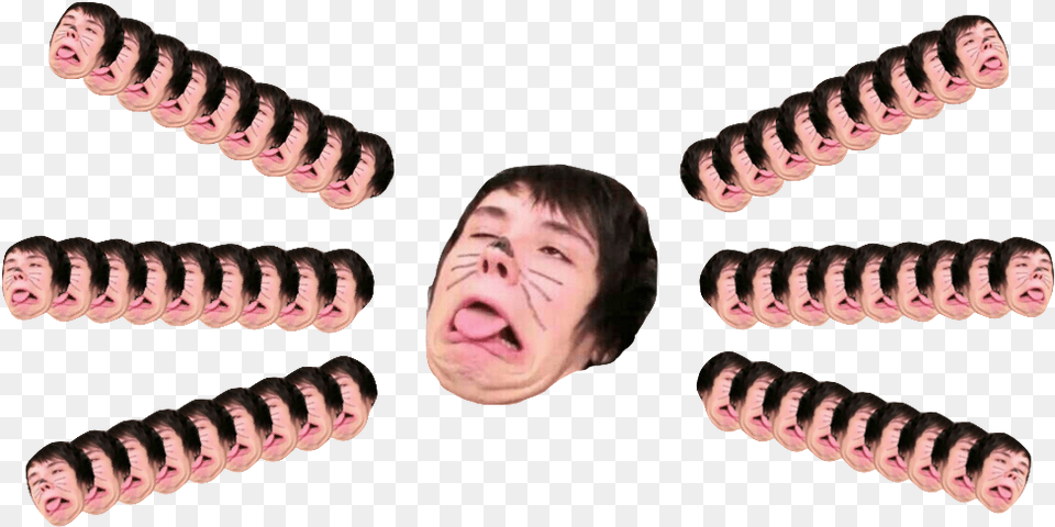 The Cat Whiskers Come From Within Dan And Phil Cat Whisker, Coil, Spiral, Face, Head Free Png