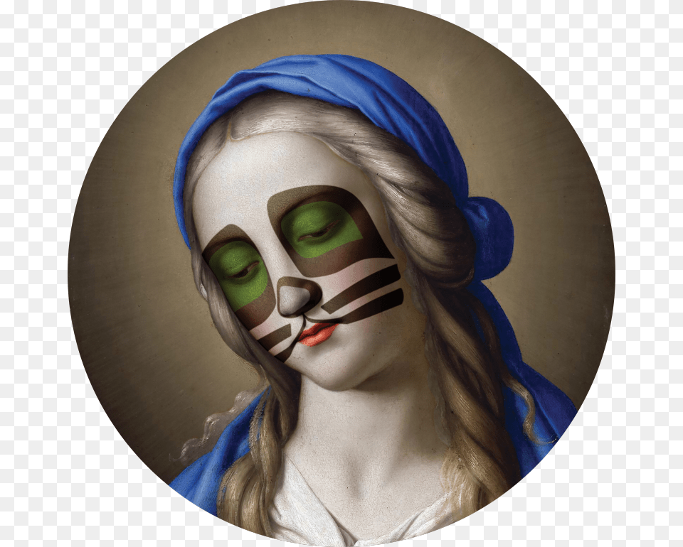 The Catman Intervention Art Decontextualization Mask, Adult, Portrait, Photography, Person Free Transparent Png