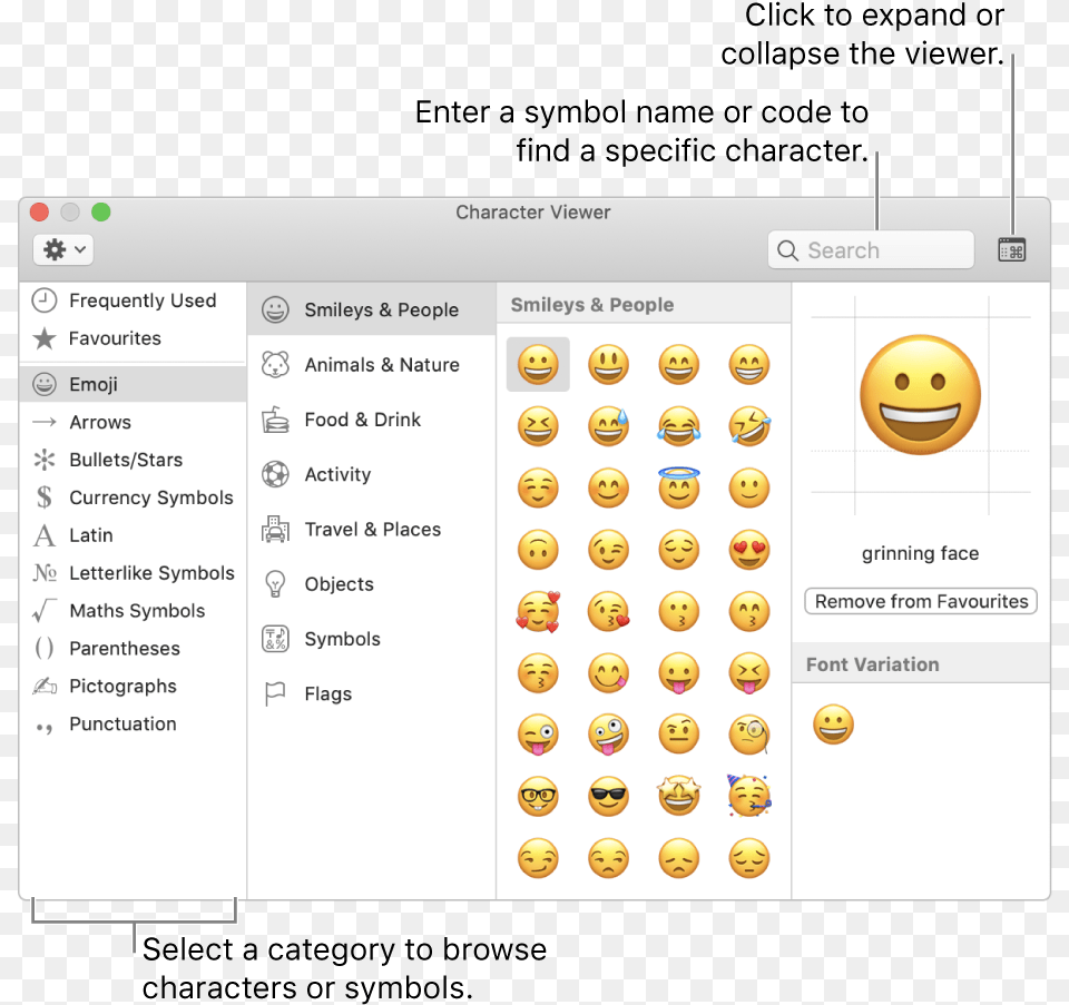 The Character Viewer Window Text Emojis, Person Png Image