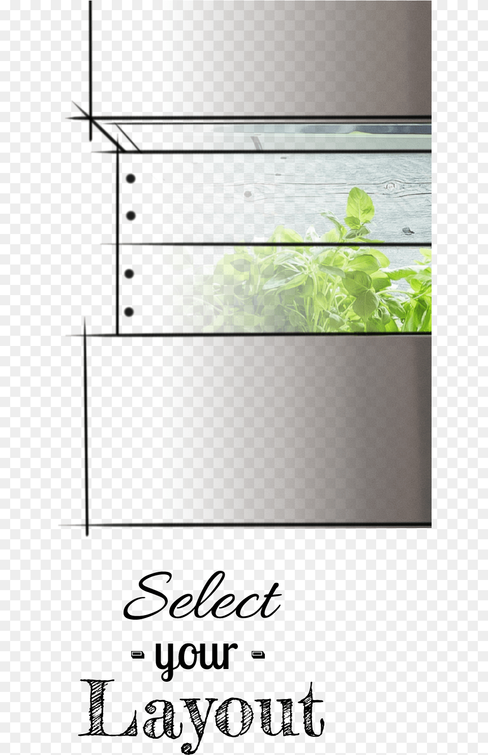 The Chef39s Ecowall Garden Comes In A Variety Of Different Calligraphy, Plant, Leaf, Herbal, Herbs Free Png Download