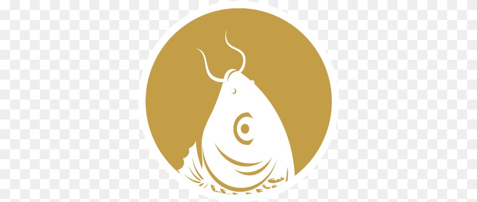 The Clever Koi Illustration, Disk Png Image