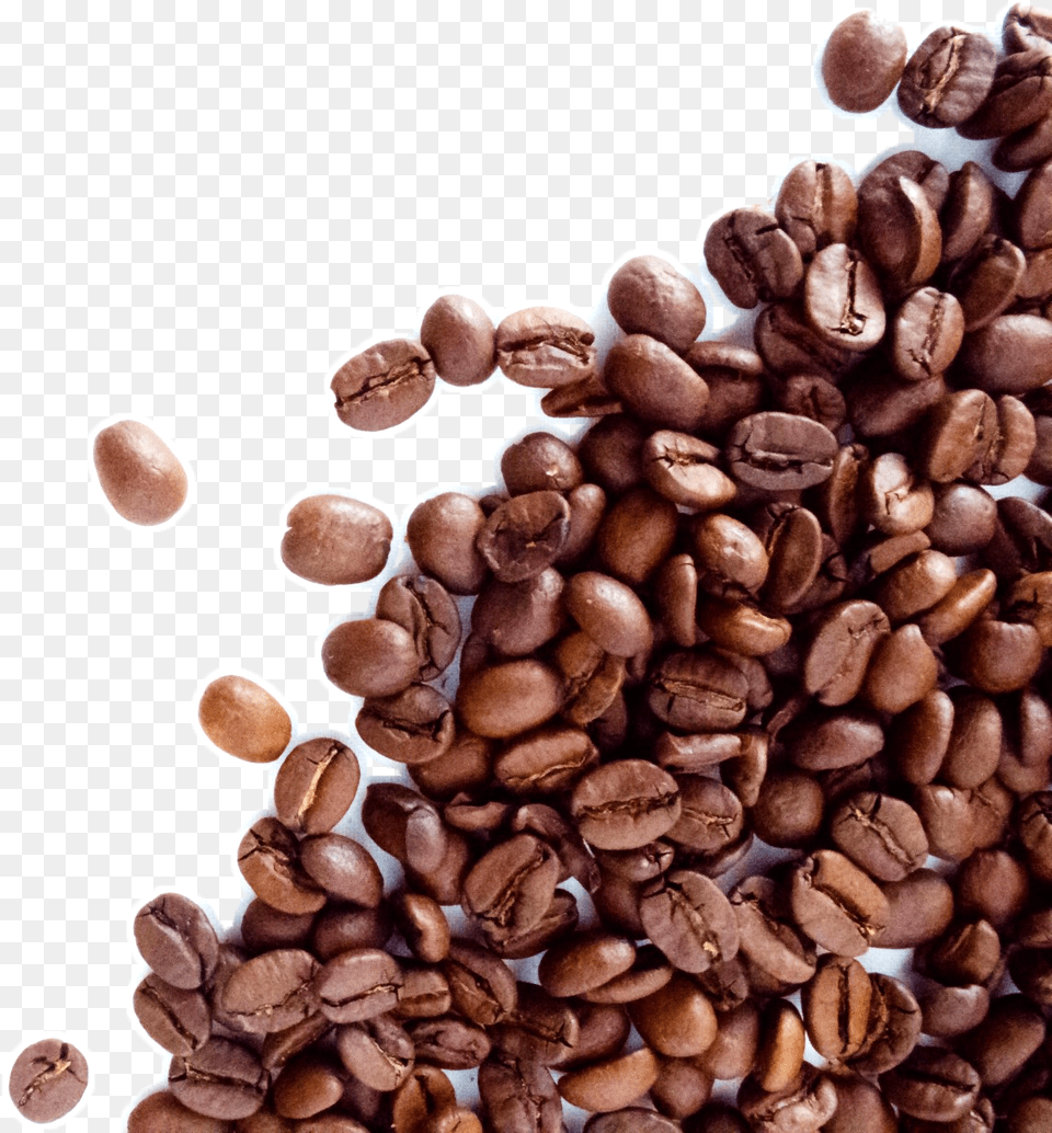 The Coffee Bean Amp Tea Leaf Espresso Cafe Dolce Gusto Coffee Beans Transparent Background, Beverage, Coffee Beans Png