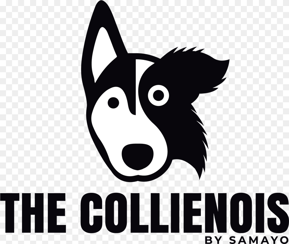 The Collienois Dog Blog Dog Training Pet Photography Desmond The Moon Bear, Animal, Canine, Husky, Mammal Png Image