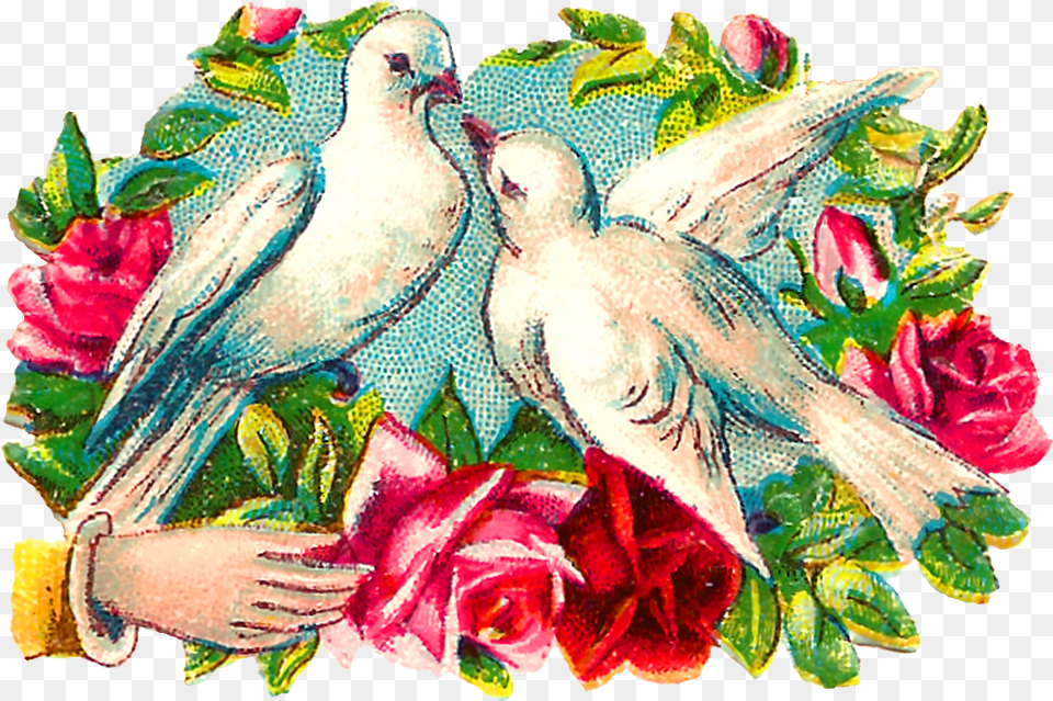 The Colorful Romantic Clipart Images Of Pairs Of Doves Clip Art, Pattern, Flower, Plant, Rose Png