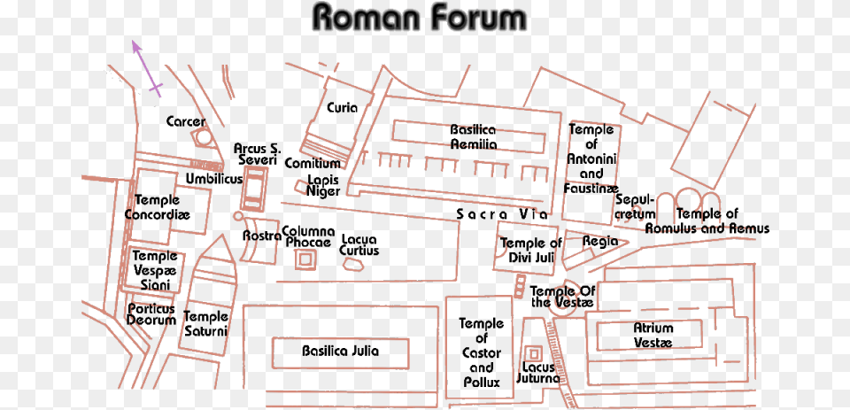 The Colosseum Rome, Chart, Diagram, Plan, Plot Free Png