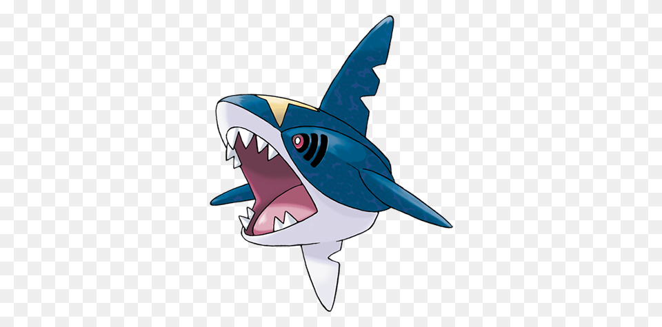 The Company Shares Sharpedo Gifs And Fun Facts For Shark, Animal, Fish, Sea Life Png Image