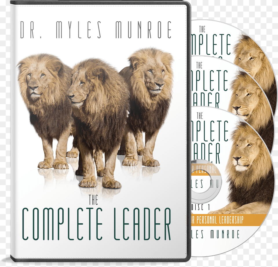 The Complete Leader Lion Group, Animal, Mammal, Wildlife Free Png Download