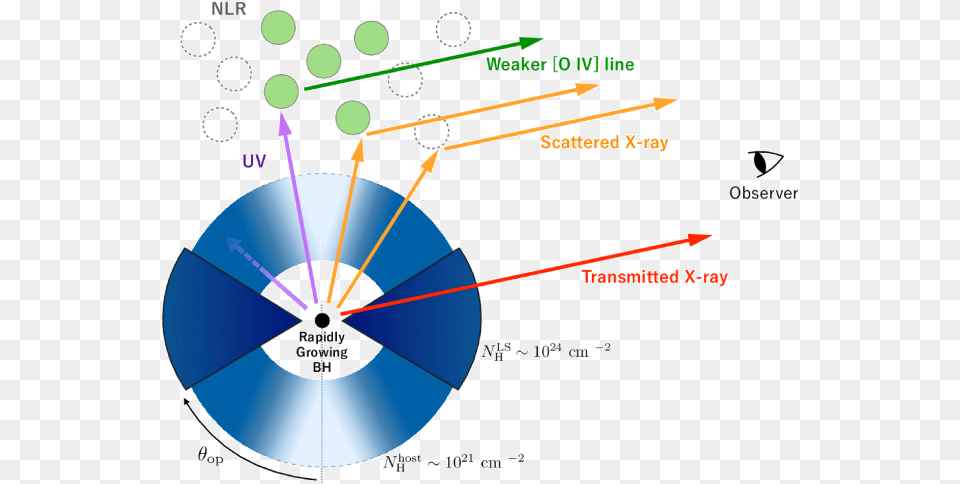 The Compton Thick Torus Has Only A Moderate Covering, Disk Free Png