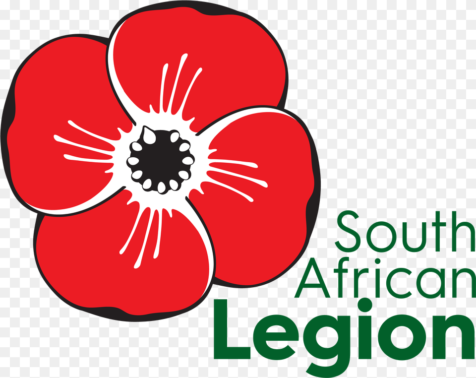 The Comrades Marathon And The Remembrance Poppy South African Remembrance Poppy, Anemone, Anther, Flower, Petal Free Png