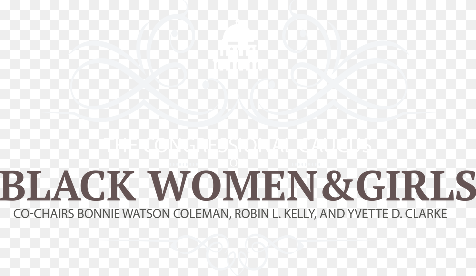 The Congressional Caucus On Black Women Amp Girls Co Chairs Video, Advertisement, Poster, Chandelier, Lamp Png Image